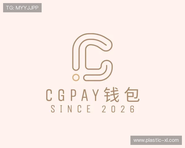 了解CGPay
